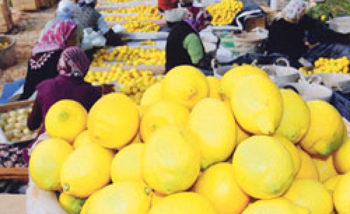 Türkiye yerli limon armut ve avokado üretti
