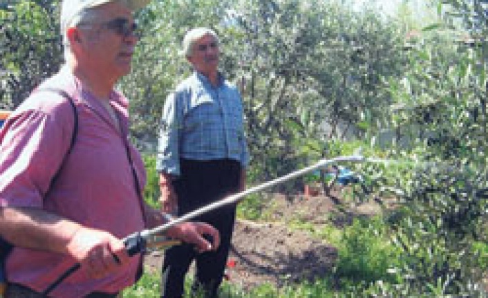 Sebze ve meyvede ilaç kullanımı azalıyor