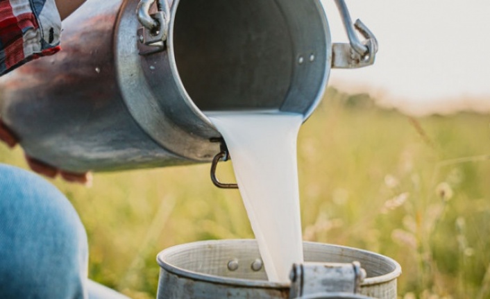 Çiğ süt fiyatlarına yağ ve protein ayarı