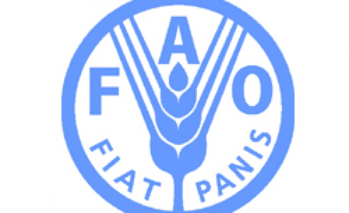 FAO#8217;dan geleneksel ürün çağrısı