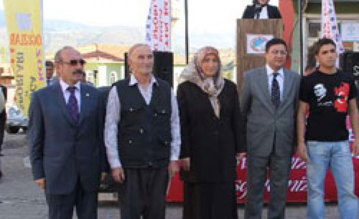 Oğuzlar ceviz festivali başladı