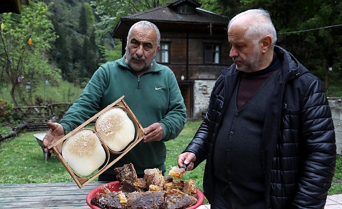 Ayder balında üretim mesaisi başladı