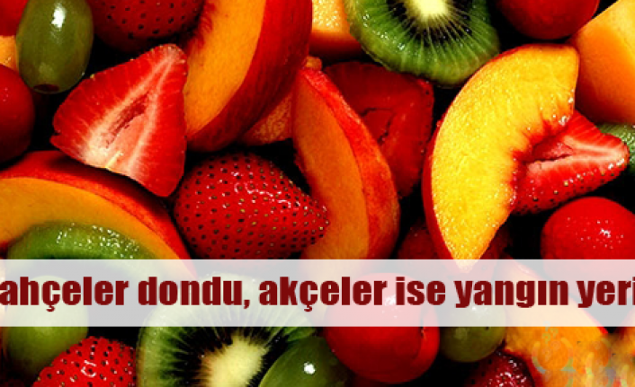 Don tüketicinin cebini yakacak!