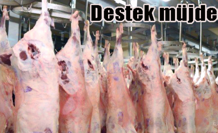 Et üretimine devlet desteği geliyor