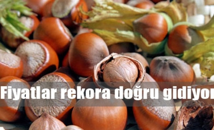 Fındık fiyatı rekorları zorluyor