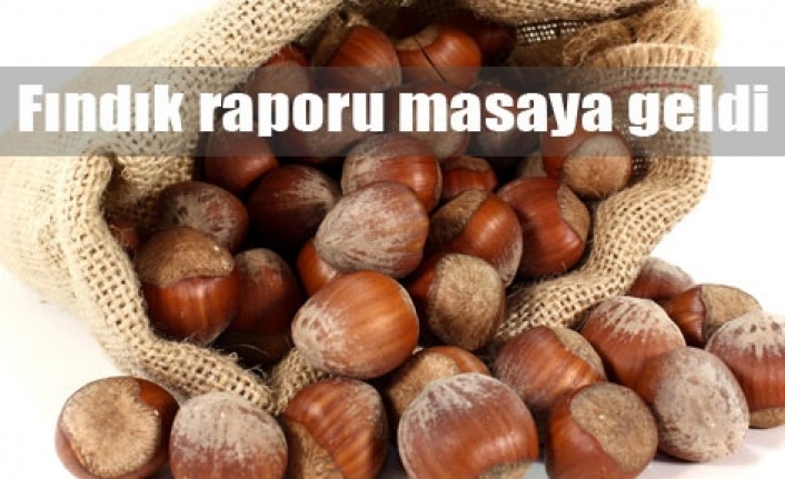 Fındık üreticisi devletten ne istiyor?