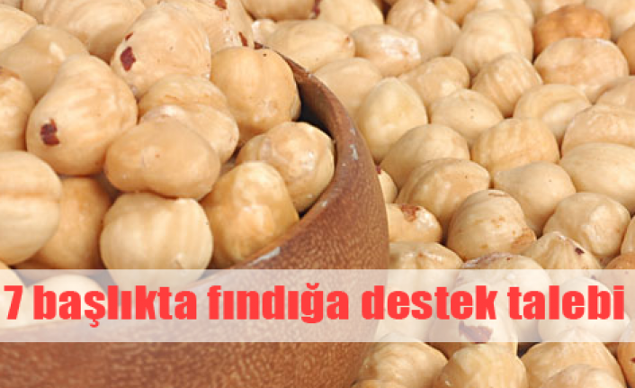 Fındık üreticisinin 7 talebi var