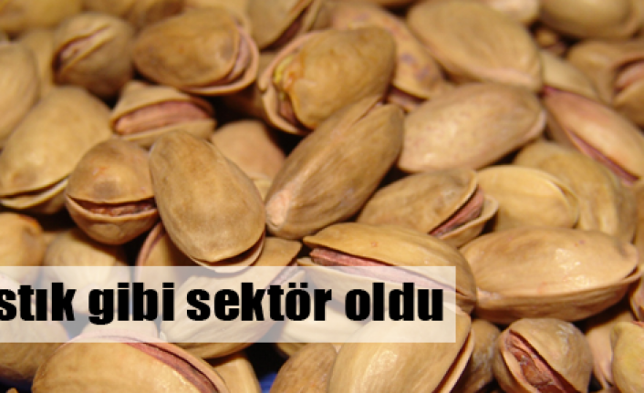 Fıstıkçılar lisanslı depo istiyor