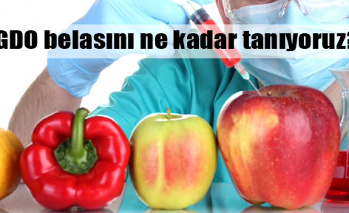 GDO belası yeniden hortluyor!