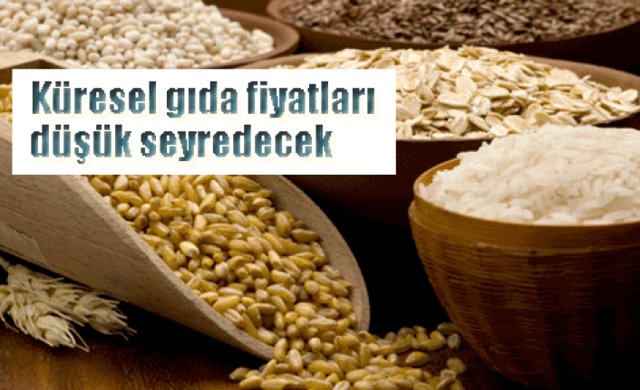 Gıda fiyatları düşük seyredecek