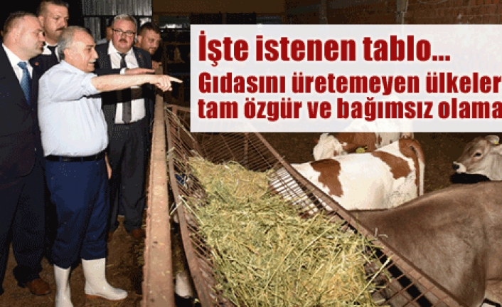 Gıdasını üretemeyen ülkeler özgür olamaz!