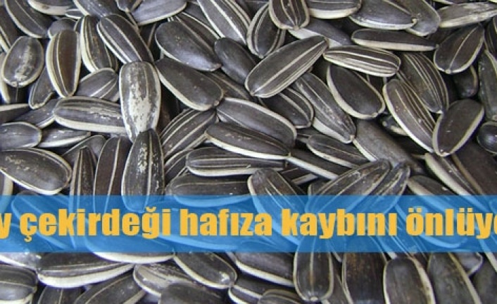 Güçlü hafıza için ayçekirdeği tüketin