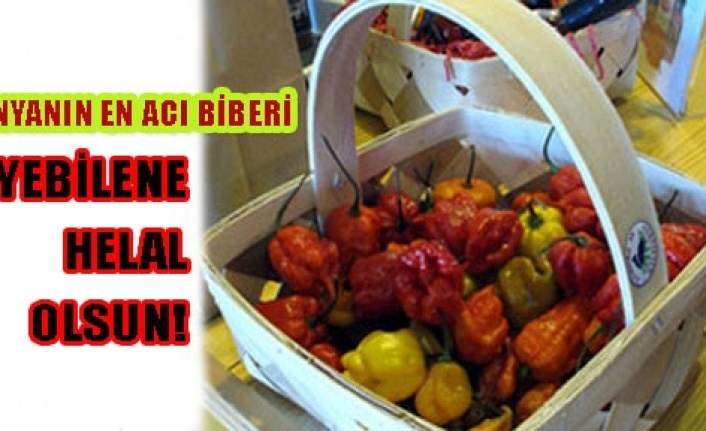İşte dünyanın en acı biberi!