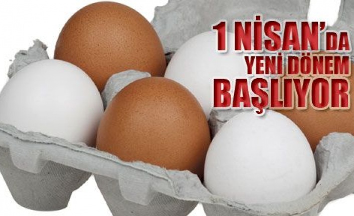 Kod olmayan yumurta satılmayacak 