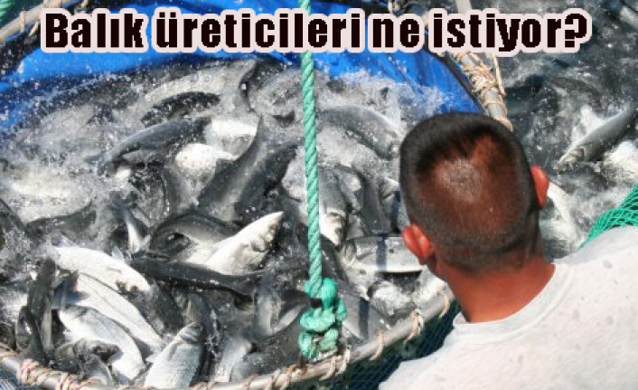 Kültür balığı üreticileri dertli
