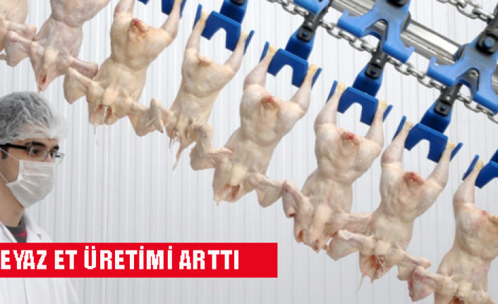 Kümes hayvancılığı üretimi arttı