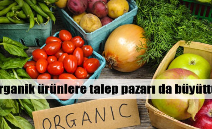 Organiğe talep pazarı da büyüttü