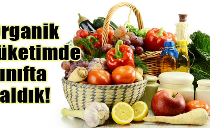 Organik tüketiminde sınıfta kaldık
