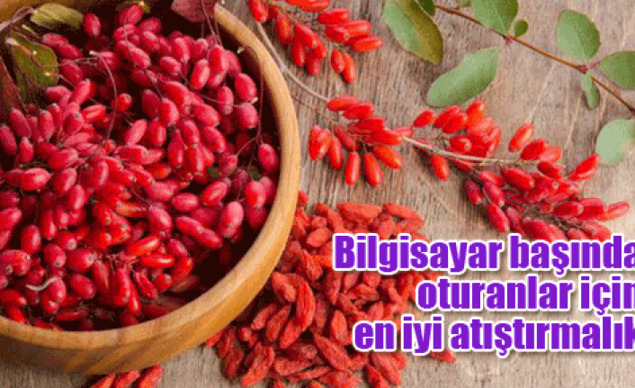 Sağlıklı bir atıştırmalık: GojiBerry