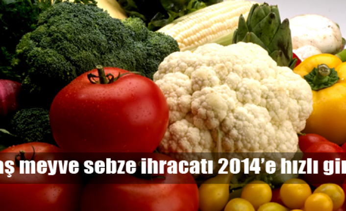 Sebze ihracatı yeni yıla hızlı başladı