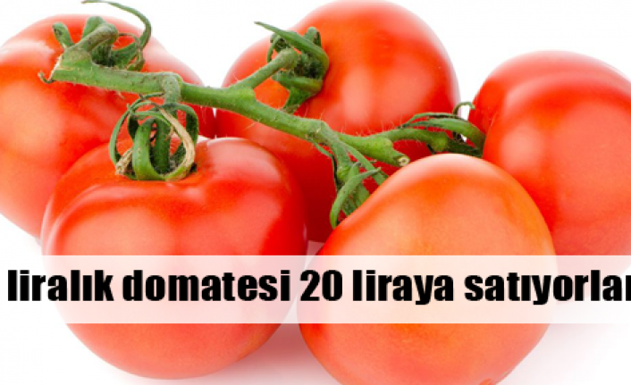 Tüketiciye organik domates oyunu