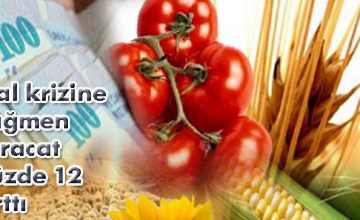 Türk ihracatçısı hal krizine takılmadı!