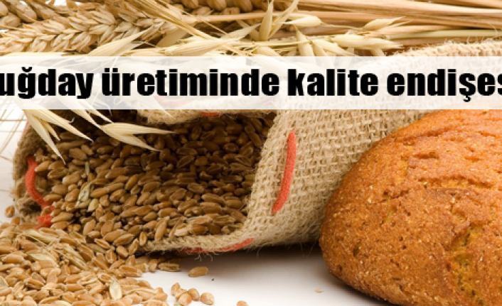  Türkiye buğday ithal edebilir