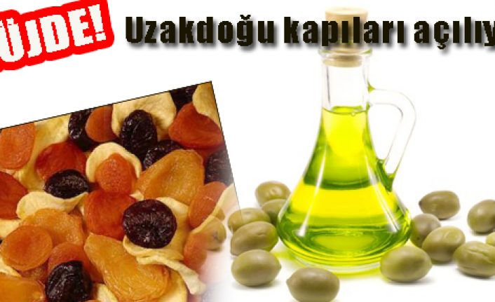 Üç sektörde Uzakdoğu heyecanı başladı
