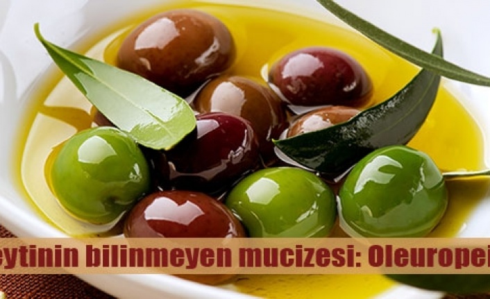 Zeytinde Oleuropein mucizesi