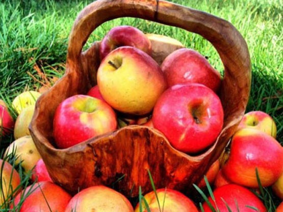 Elma:Bu yılki listenin en üzerinde elma yer aldı. Uzmanlar, test edilen tüm elmaların yüzde 99`unda en az bir tane tarım ilacı olduğunu belirledi.