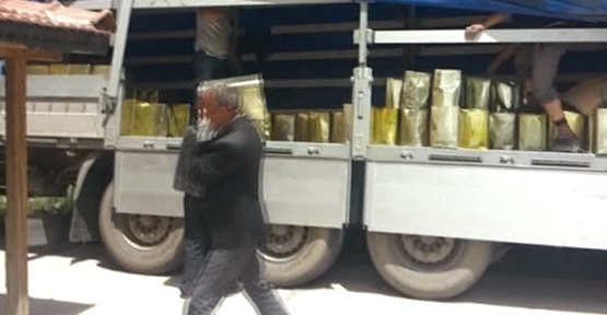  22 ton kaçak İran balı ele geçirildi