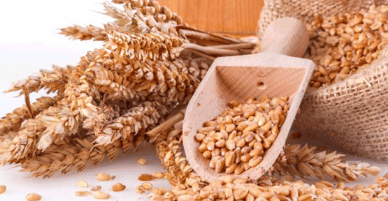 Buğday taban fiyatları açıklandı