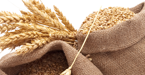 Buğday zirvesi Ankara'da toplanıyor
