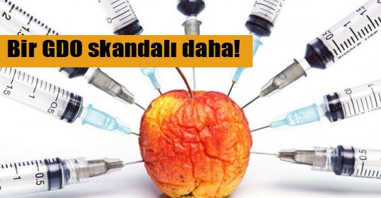Genetiği değiştirilmiş elmaya onay!
