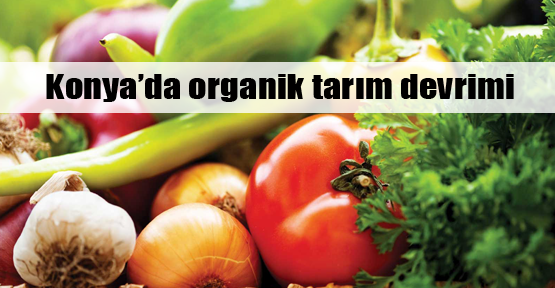 Konya'da organik tarım devrimi