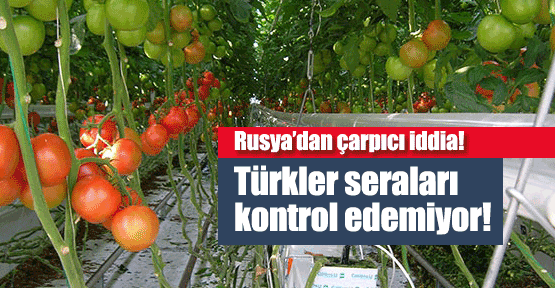 Rusya'dan Türkiye'ye domates suçlaması