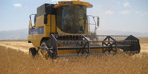 Prim sistemi buğday kalitesini artırdı