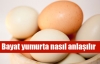 Bayat yumurtayı anlama testi