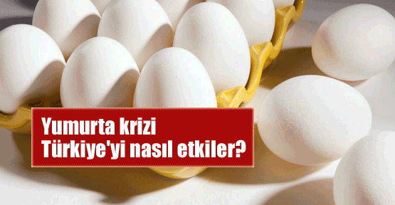 Yumurta krizi Türkiye'yi nasıl etkiler?
