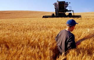 Çiftçi 7 kilo buğdayla 1 litre mazot alabiliyor!
